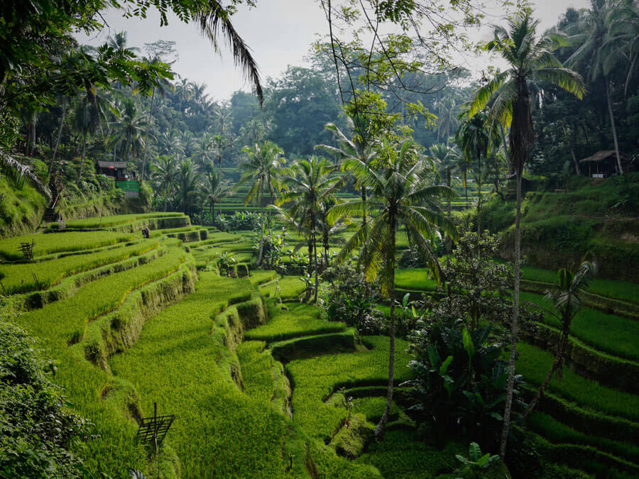 best travel itinerary for bali