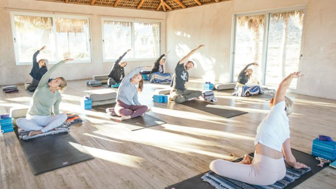 Best Yoga Teacher Training in Mexico Taylor's Tracks